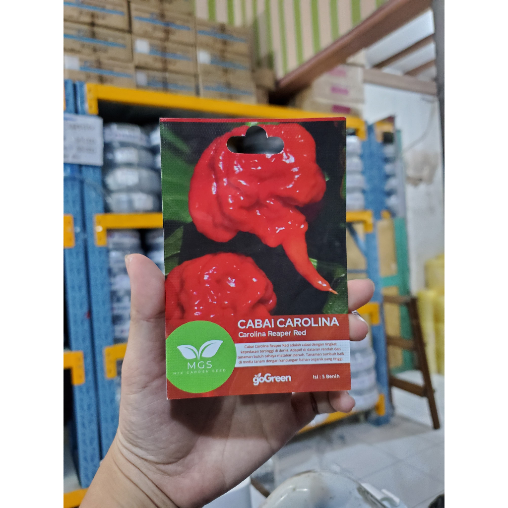 Benih Cabe Import Carolina Reaper/Benih Carolina Reaper