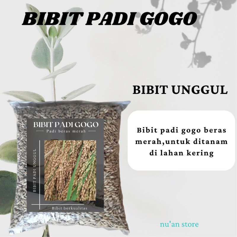 

GABAH PADI GOGO BERAS MERAH KEMASAN 500 grm
