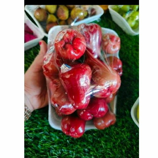 

Jambu citra merah besar