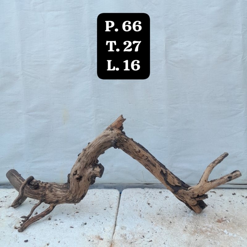 Kayu Aquascape - Kayu Santigi