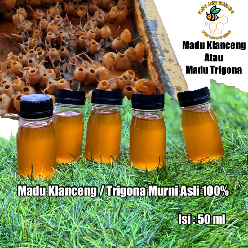 

Madu Klanceng Trigona Kelulut Tewel Murni asli 100% isi 50 ml