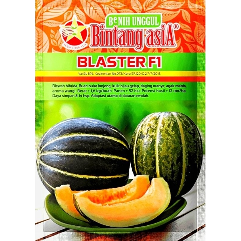 Benih Blewah Hibrida BLASTER F1Bintang Asia