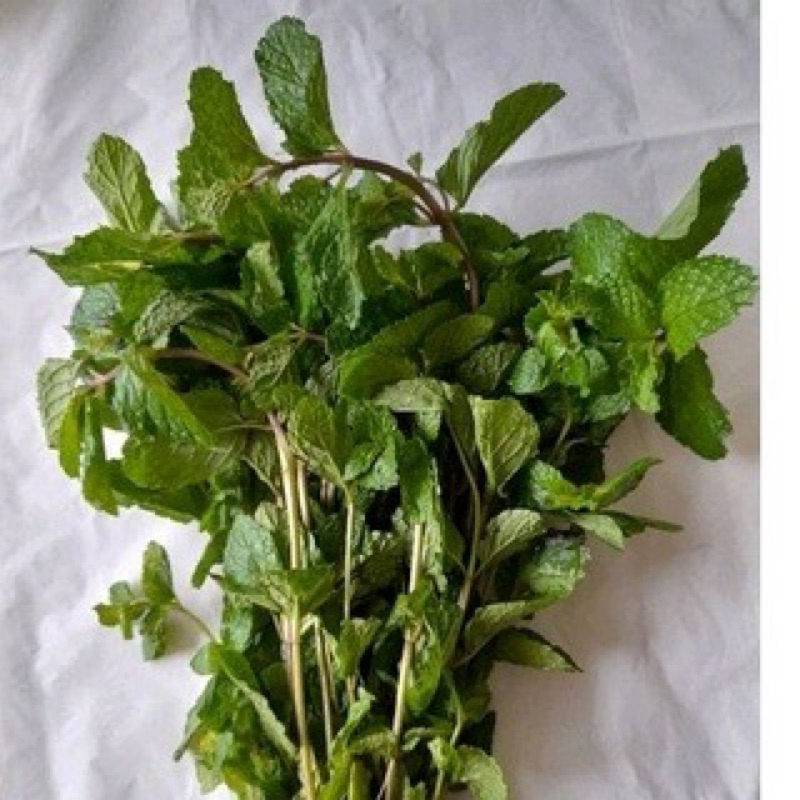 

Daun mint segar 1 kg