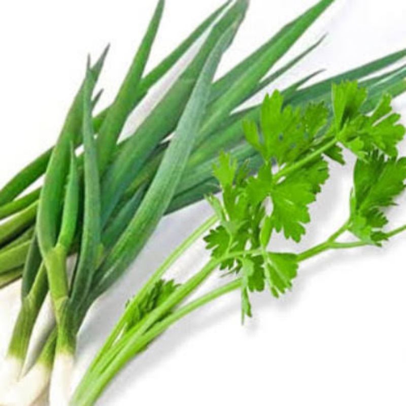 

Daun Bawang Seledri 150g / daun bawang / daun seledri / daun sop / bawang daun / daun bawang murah / sayur / sayur fresh / sayuran murah