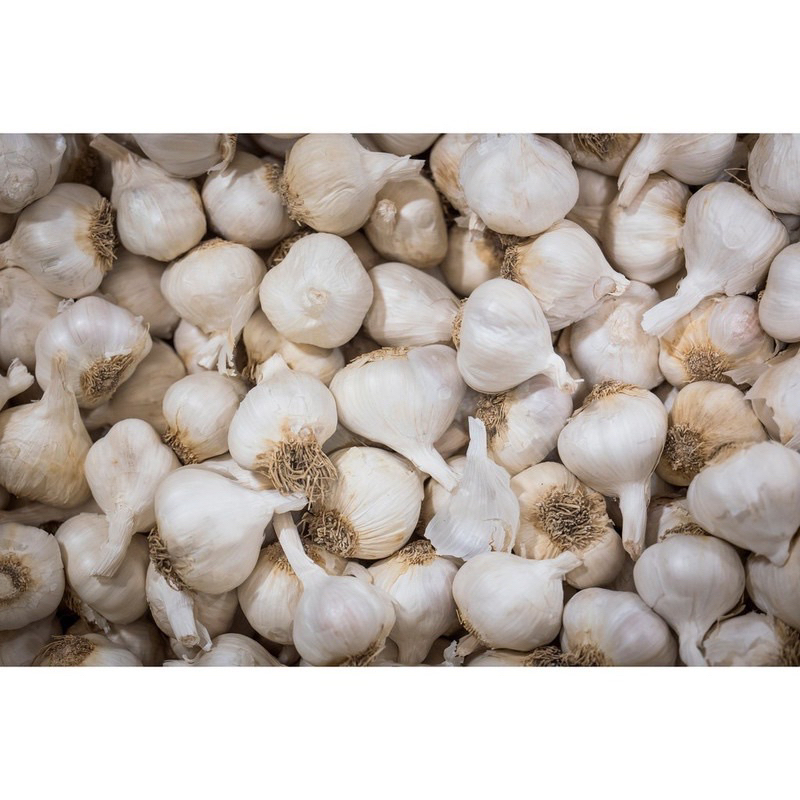 

bawang putih 500 gram