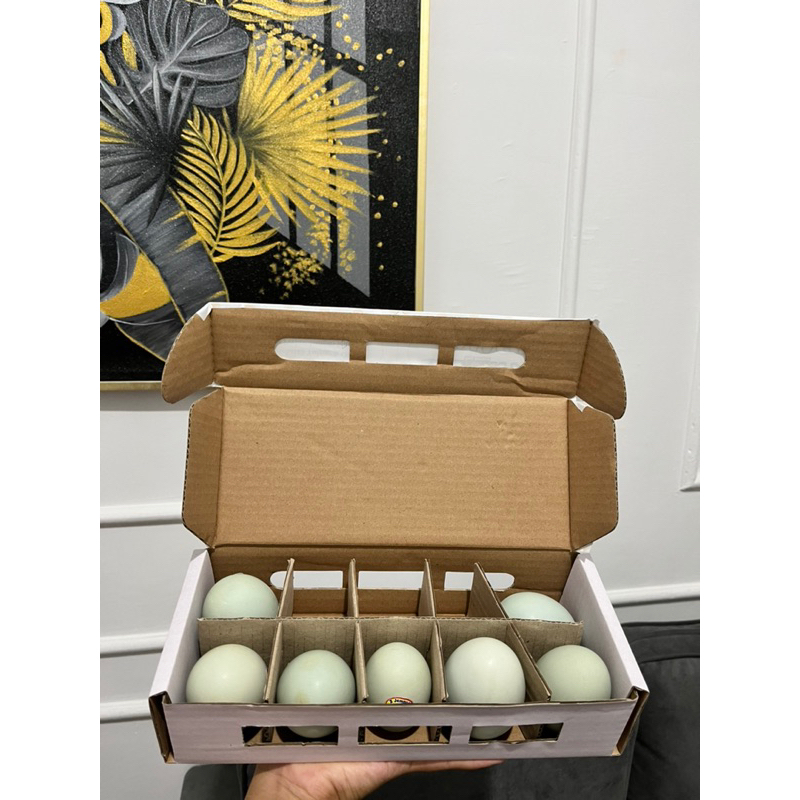 

Telur Asin Organik Cap Dua Jempol dengan Pakan Kepala Udang - 10 Butir, Protein Tinggi, Tekstur Creamy & Masir, Cocok Sebagai Hadiah