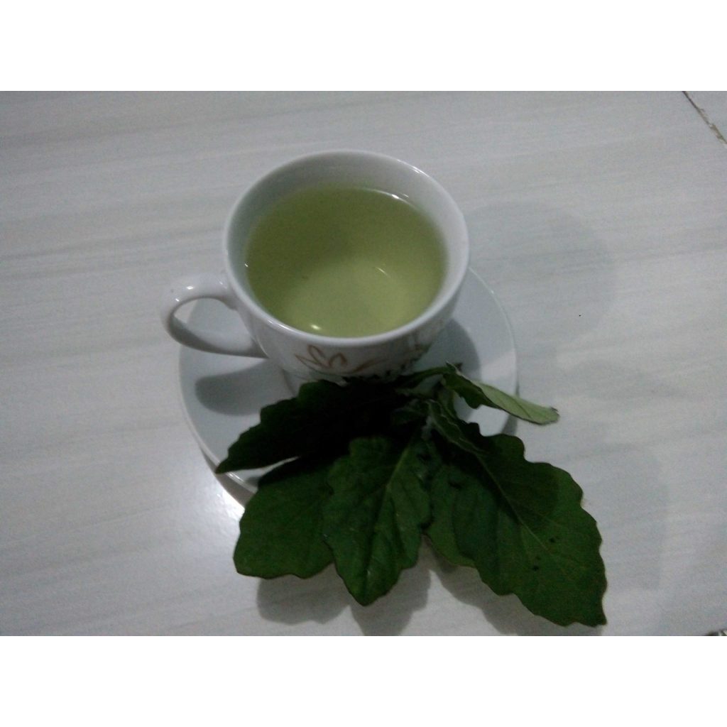 

DAUN DEWA SEGAR & FRESH BEST SELLER