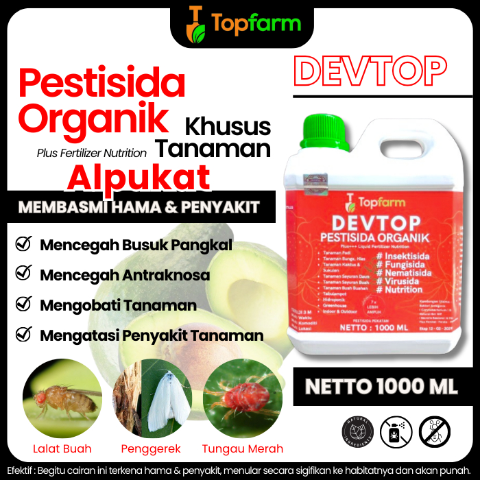 Obat Hama Daun Alpukat / Obat Pembasmi Hama Daun Alpukat / Obat Hama Alpukat / Obat Hama Untuk Pohon