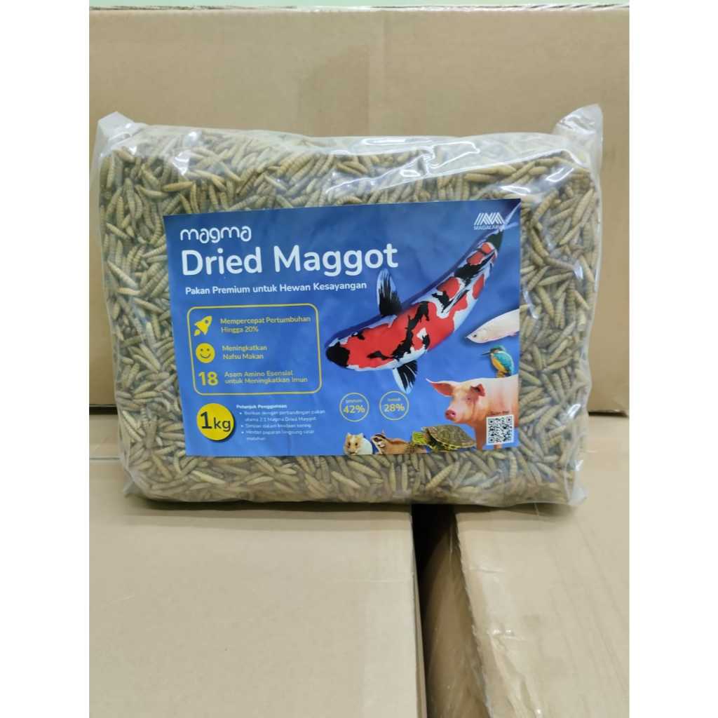 Maggot Kering BSF 1Kg Kualitas Premium Grade A kemasan 1kg