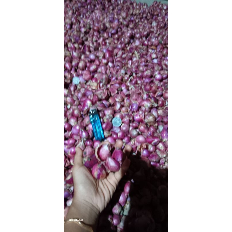 

BAWANG MERAH SUPER LOKAL JAWA/BRAMBANG SUPER ASLI JAWA TUA 500gr