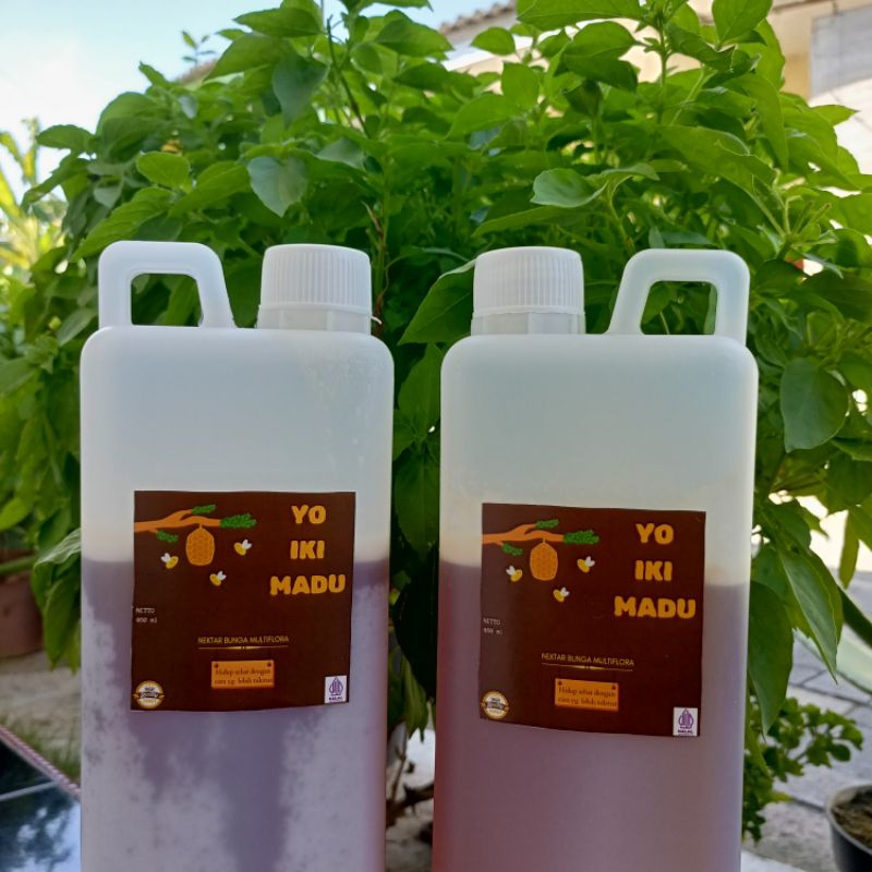 

Madu Premium Murni 100% Dari Hutan Di Lereng Gunung Muria - 1 kg