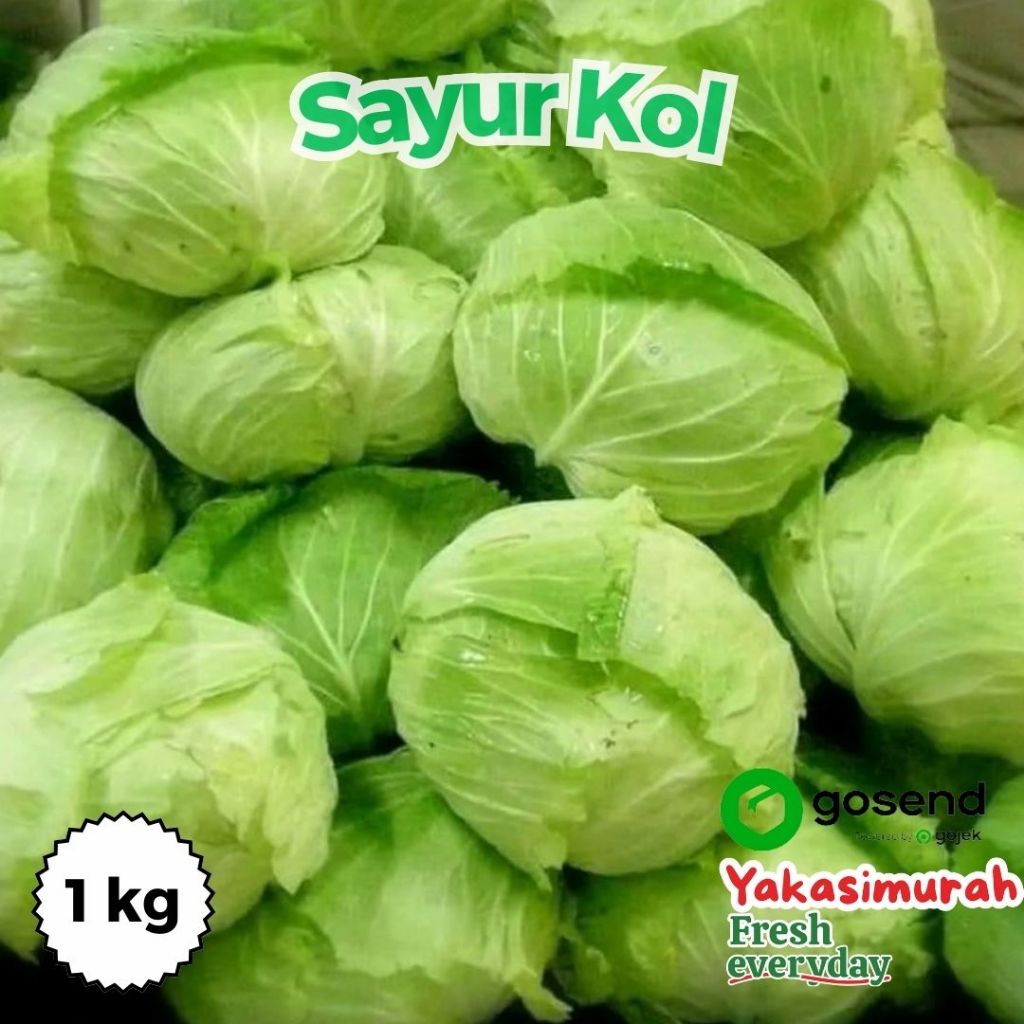 

Sayur Kol Premium / Sayur Kol Fresh Market 1 kg