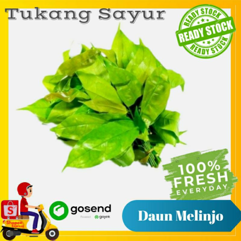 

Daun melinjo - sayur fresh - Tukang Sayur Palembang
