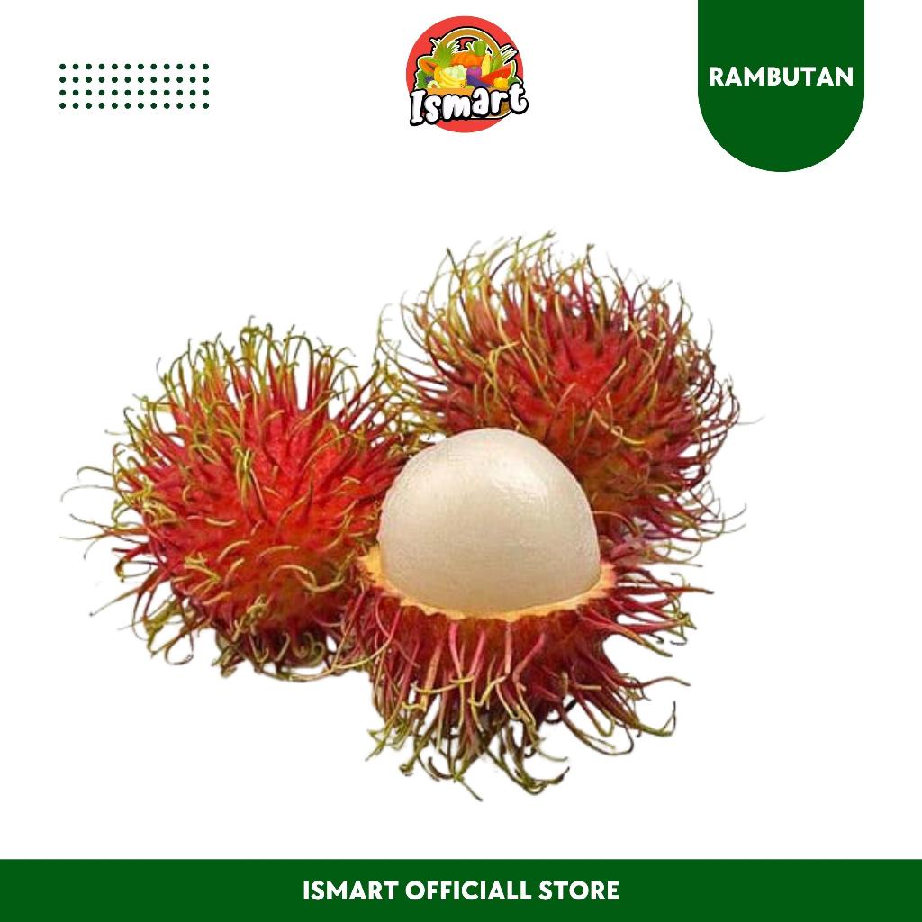 

ISMART | Buah Rambutan 2 Iket Fresh - Khusus Pengiriman Untuk JABODETABEK