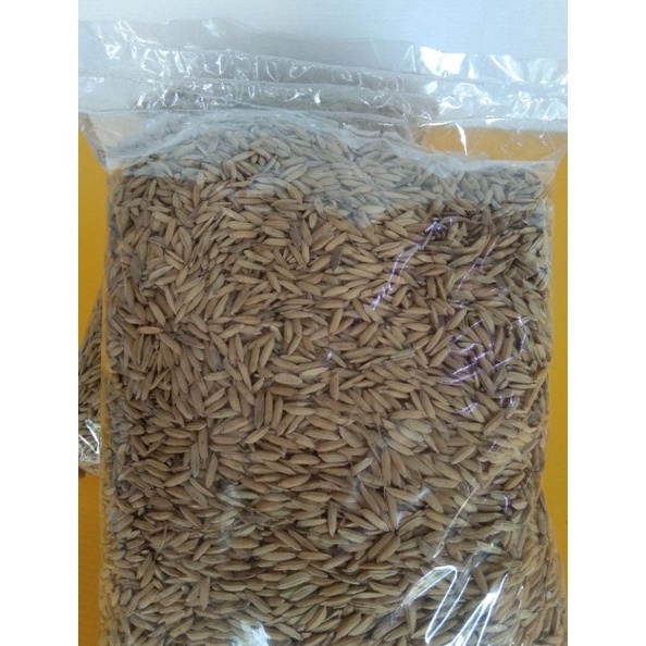 ORIGINAL gabah putih gabah padi 1kg pakan hamster pakan lovebird