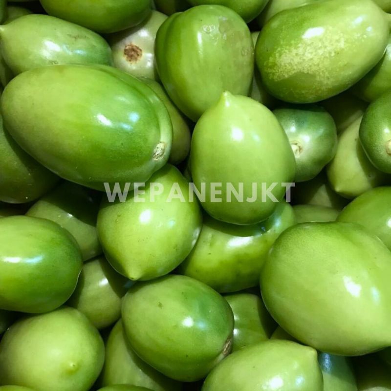 

Tomat Hijau Fresh Tomat Servo 1kg