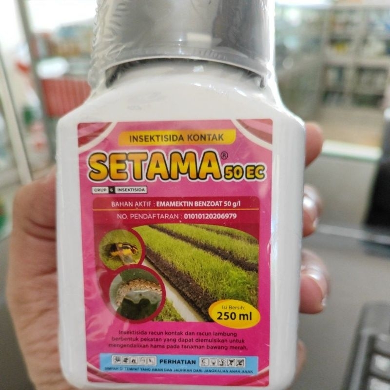 SETAMA
