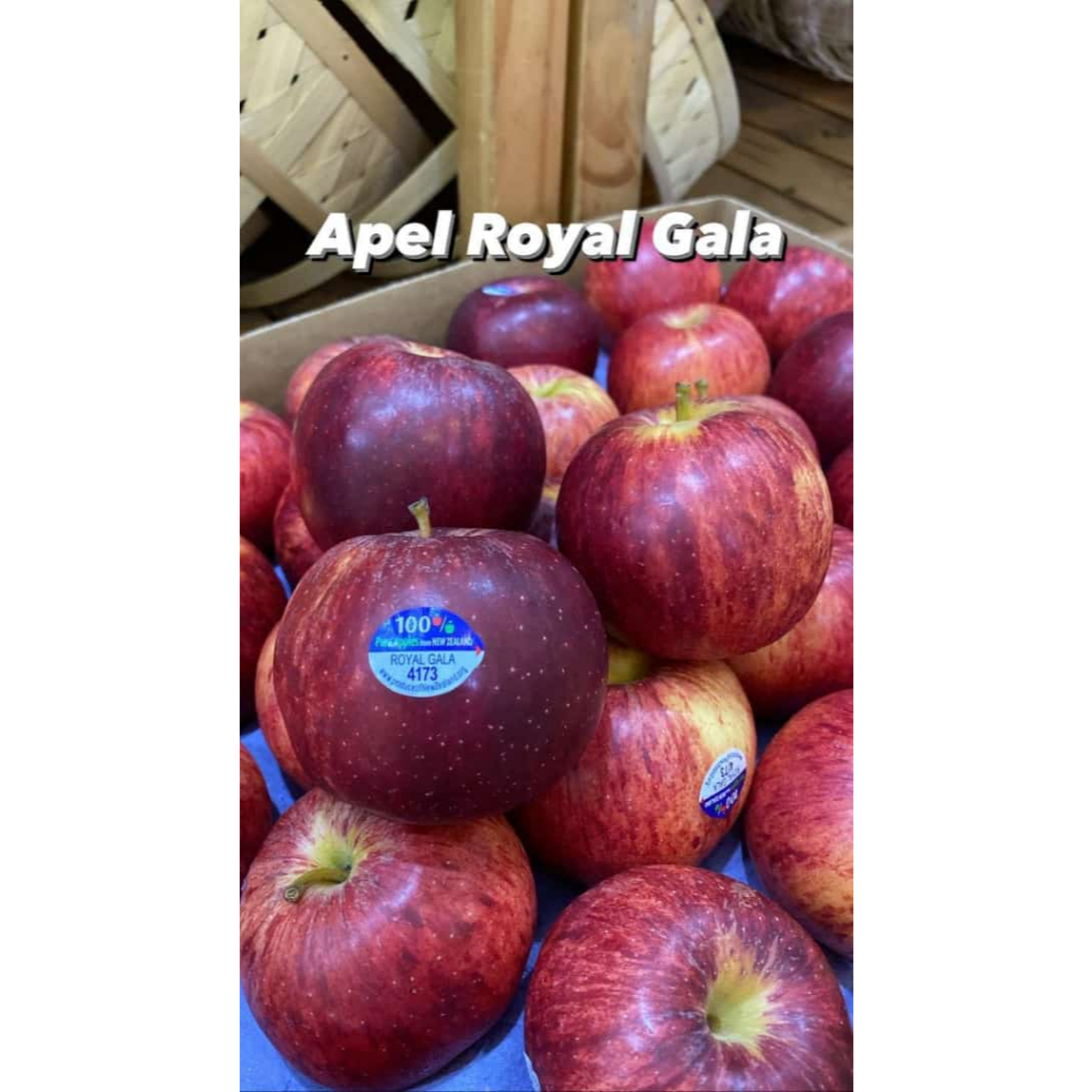 

Apel Royal Gala