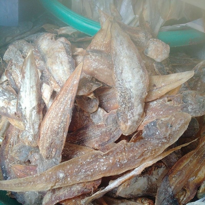 

ikan asin tapal tapal 500gram