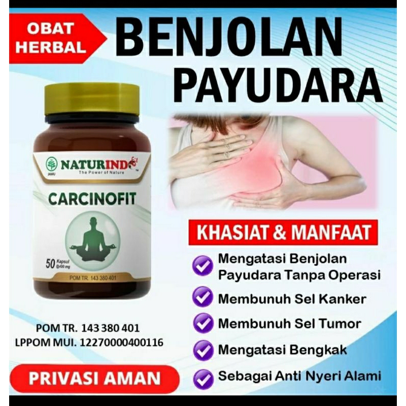 NATURINDO Carcinofit isi 50kapsul