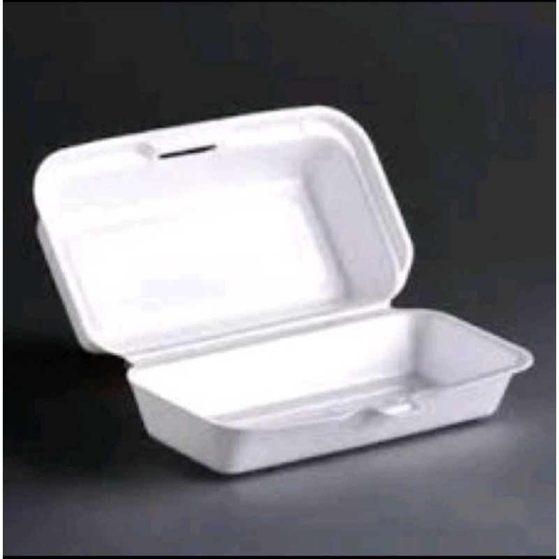 ECERAN - styrofoam nasi / foam / styrofoam bubur
