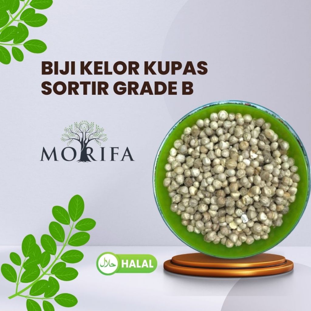 

MORIFA Biji Kelor Kupas Kernel Moringa Seeds Grade B