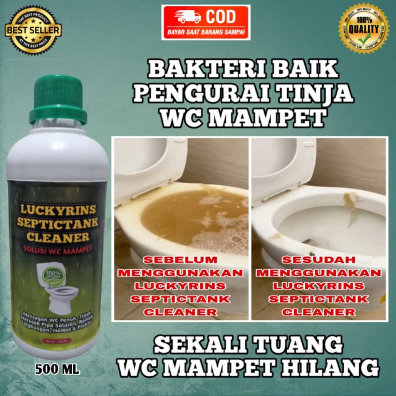 BAKTERI BAIK PENGURAI TINJA WC MAMPET