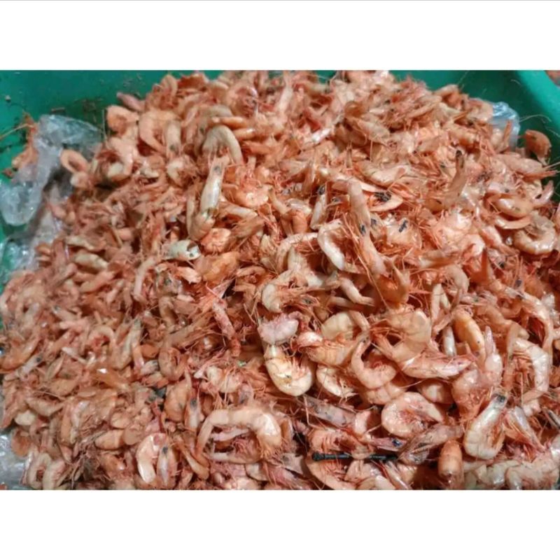

Udang Merah Segar Asli Kualitas Terjamin Murah