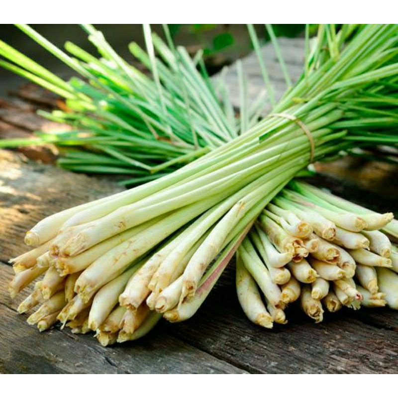 

1 ikat serai bumbu masak press segar ,serai bumbu dapur terlaris