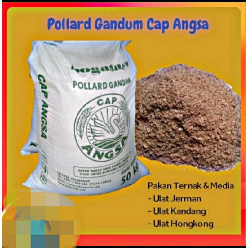 Pollard Cap Angsa Bogasari 15 Kg Pakan Ternak