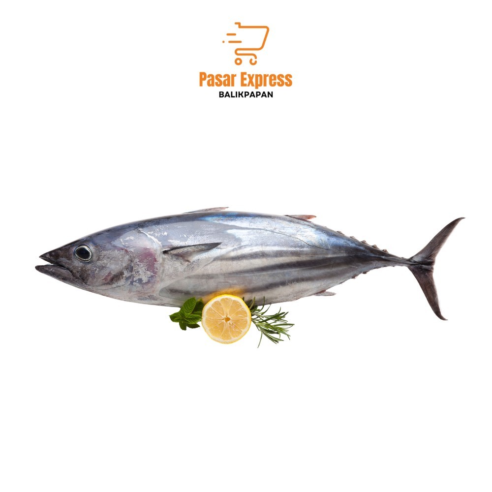 

Ikan Cakalang Besar (Perekor) - Pasar Express Balikpapan