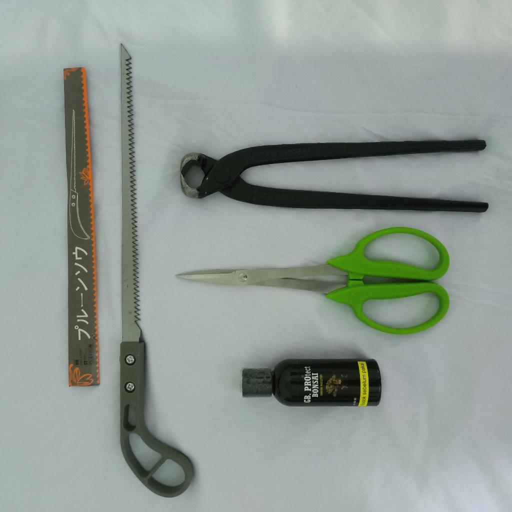 paket hemat catok Bonsai modifikasi dan gunting prunning bonsai hijau peralatan bonsai