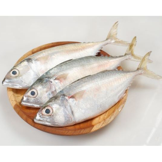 

Kirim Instan Ikan Kembung Segar 500 gram Berkah Dunia Sayur
