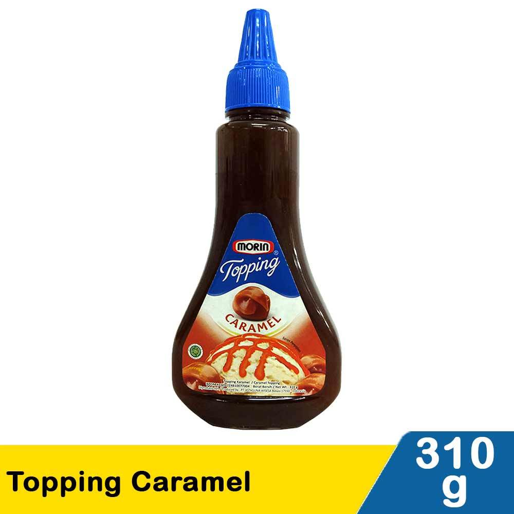 

morin topping chocolate 310gr