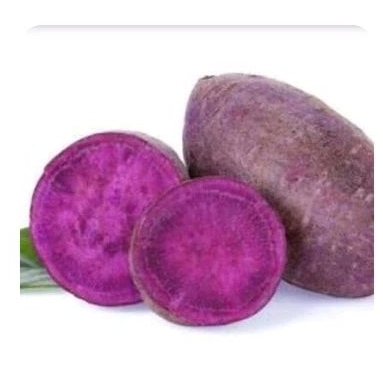 

Ubi Ungu Organik (Bebas Pestisida)