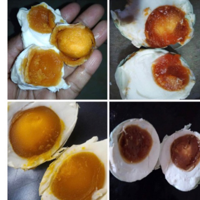 

TELUR ASIN MASIR TERLARIS