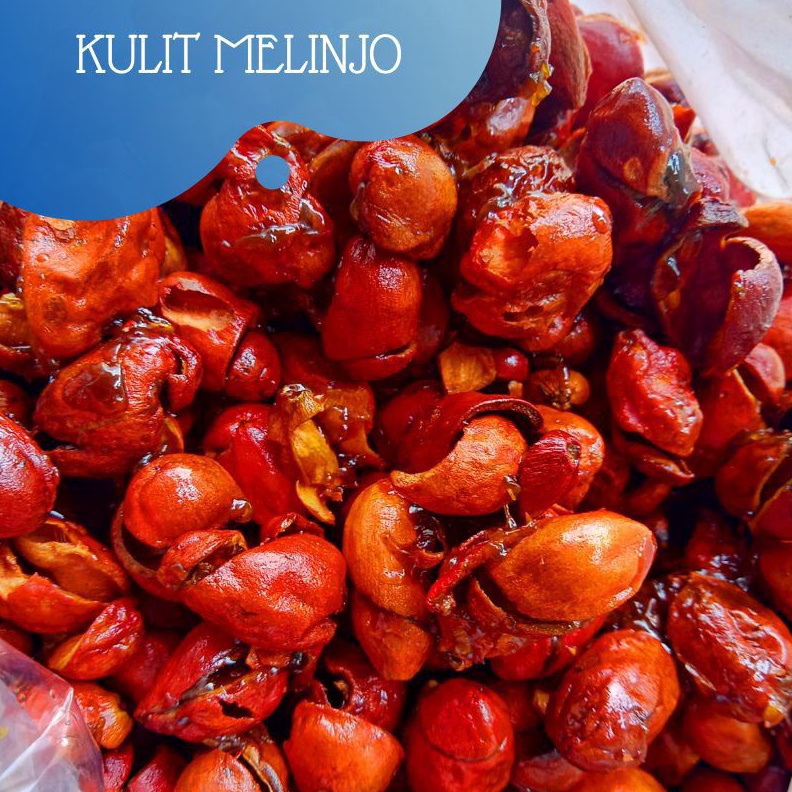 

NEW PROMO KRIPIK KULIT MLINJO PEDAS MANIS ASIN 2GR KERIPIK KULIT MLINJO PEDAS MANIS ASIN