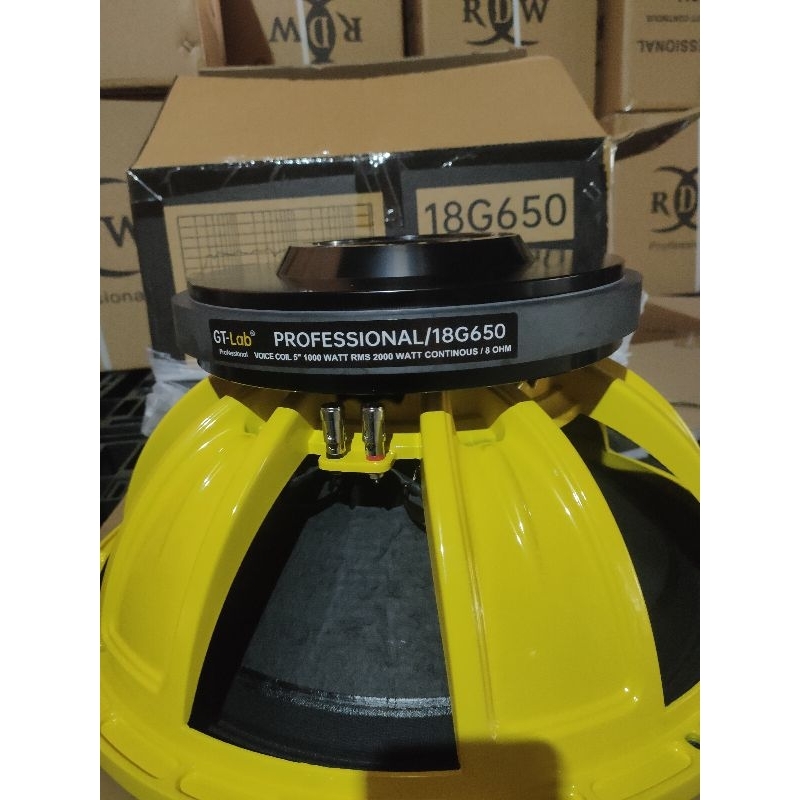 SPEAKER KOMPONEN GT LAB 18G 650 / 18INCH ORIGINAL RDW