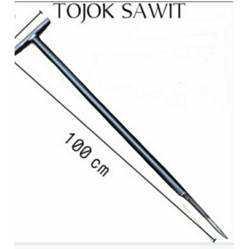 tojok sawit