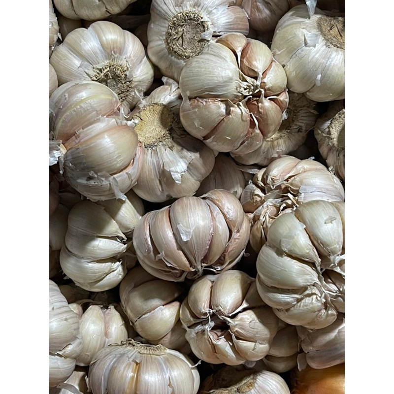 

Bawang Putih 500gr