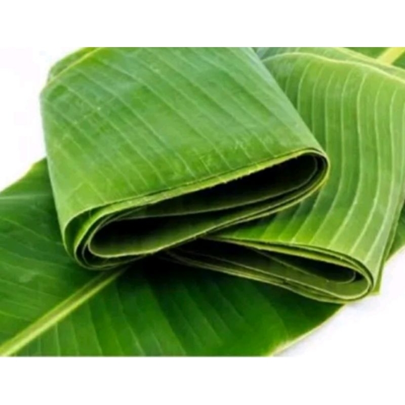 

(2 LEMBAR) DAUN PISANG BATU (ASLI)