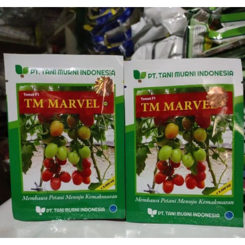 bibit tomat tm marvel 10 gram 3000 biji