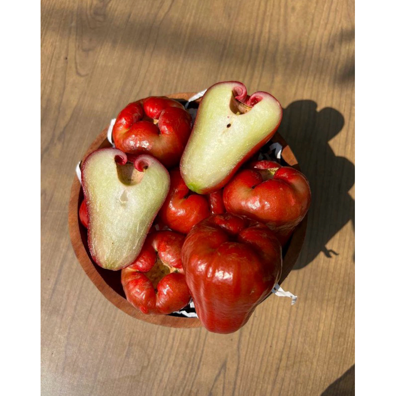 

Jambu Citra | Jambu Air | Jambu Merah
