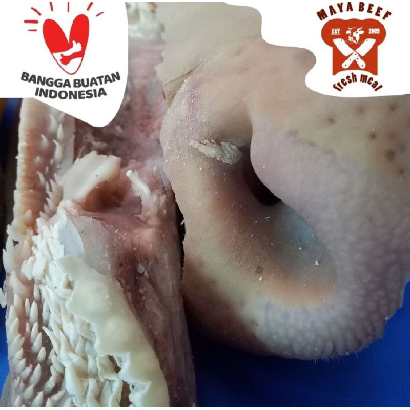 

Cingur/ hidung/ mulut sapi lokal segar 1 kg