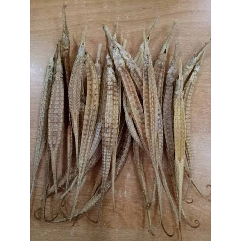 Naga Laut Kering Premium Isi Rendaman Herbal | Kualitas Terbaik