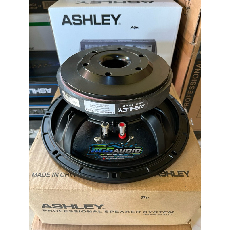 speaker 10 inch ashley lf10v300
