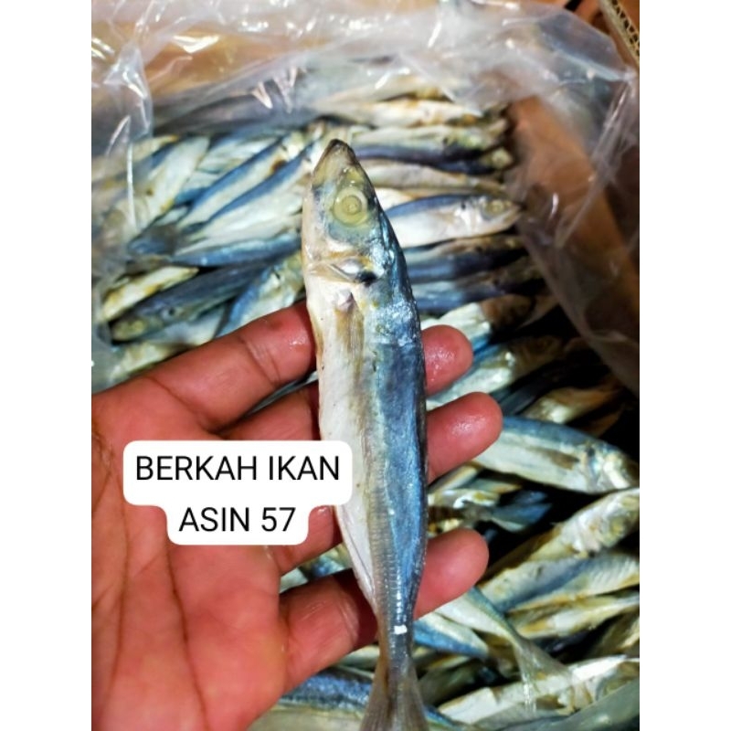 

1pc 60g IKAN ASIN GEREH PEDO/PEDO LONCO,PERKAK