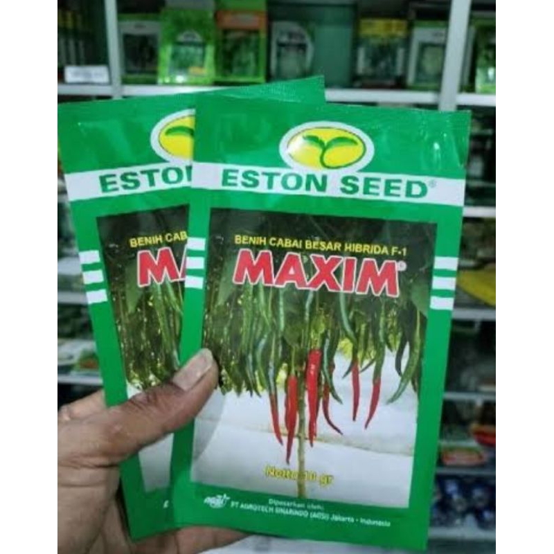 bibit cabai besar maxim 10 gram eston seed