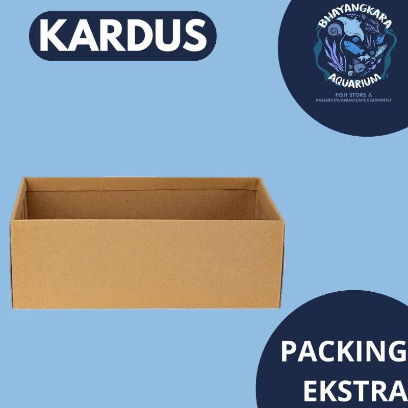 

BOX PACKING KARDUS PACKING EKSTRA