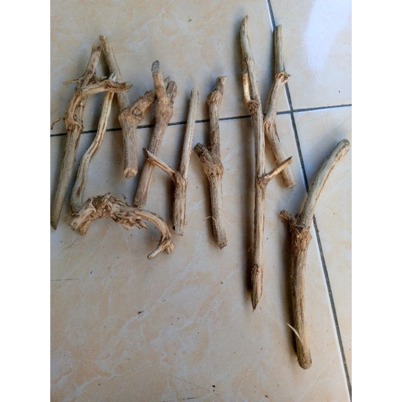 kayu Tlogosari bahan once viva/12pcs